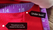 Load image into Gallery viewer, WOMENS SIZE 10 PETITE - LIZ CLAIBORNE, FITTED RED DRESS (LIKE NEW CONDITION) - Faith and Love Thrift