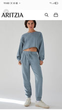 Load image into Gallery viewer, WOMENS SIZE SMALL - TNA ARITZIA Cozy Boyfriend Cropped Crew Sweatshirt, Grey EUC B63