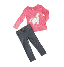 Load image into Gallery viewer, GIRL SIZE 2 YEARS - Carter&#39;s &amp; Oshkosh Mix N Match Outfit EUC

Soft cotton blend long-sleeved graphic tee (lama)

Soft cotton blend skinny pants

Adorable outfit for spring or fall seasons.  Excellent preloved condition!  

Pink and Grey colours 

 

